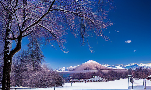 《林海雪原》中杨子荣的英雄形象塑造